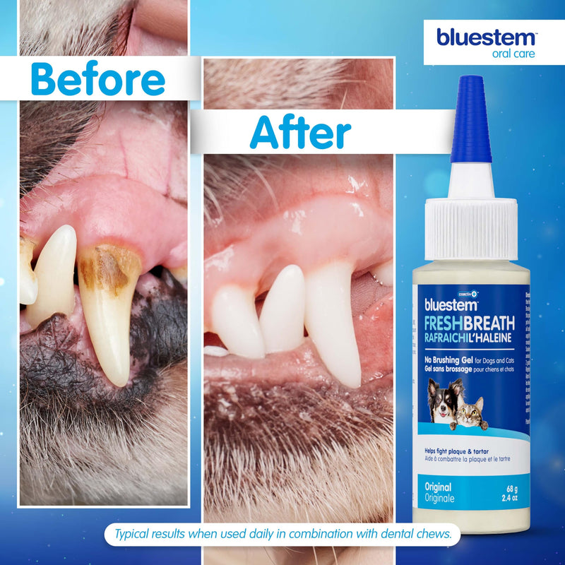 bluestemTM No Brush Dog Dental Gel - Dog Oral Gel to Freshen Breath, and Fights Plaque and Tartar - Brushless Toothpaste for Dogs Original 2.4 Ounce (Pack of 1) - PawsPlanet Australia