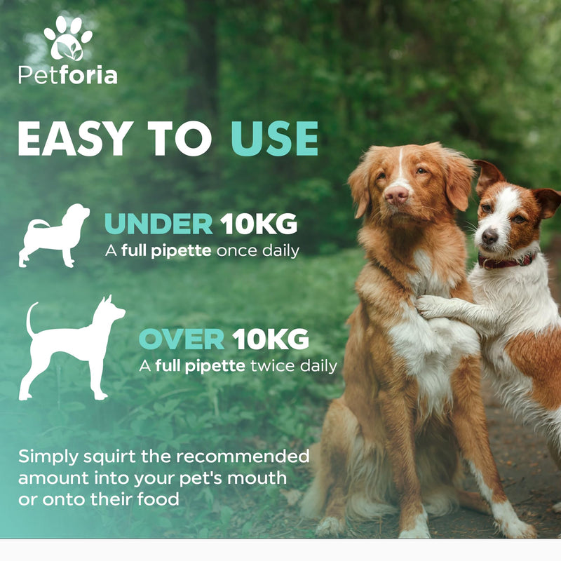 Dog Mobility Support | Support Mobility and Flexibility | Dog Mobility Comfort | Natural | Active Formula | Devils Claw For Dogs 50ML - Pack of 1