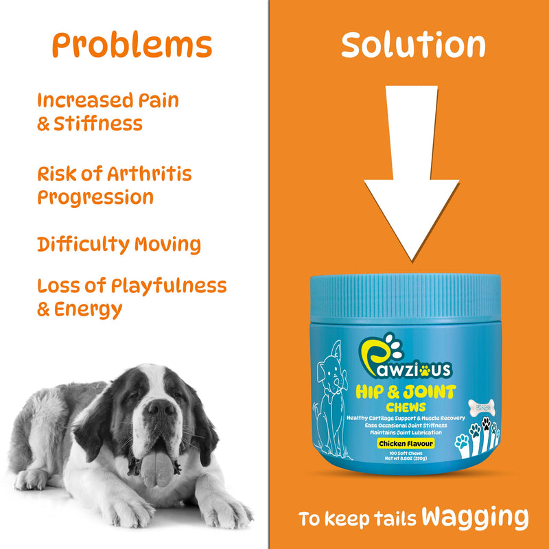 Joint Supplements for Dogs - Dog Hip and Joint Care Chews with Glucosamine, Chondroitin, Green Lipped, Omega-3, Turmeric and MSM for Arthritis, Chicken Flavor (100 Count)