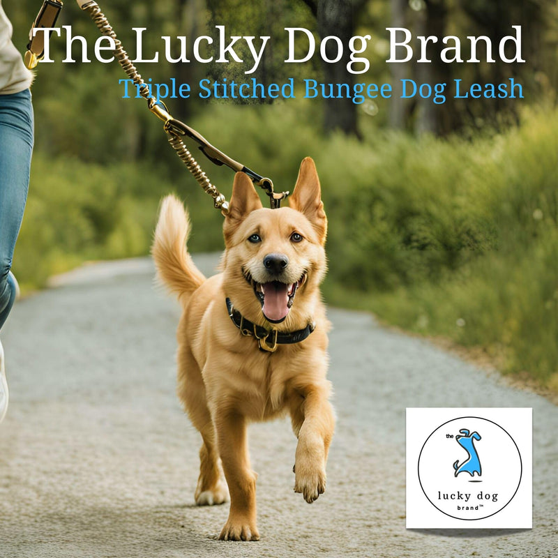 Lucky Dog Brand Bungee Dog Leash for Shock Absorption - Heavy Duty No Pull Training Leash for Medium & Large Dogs - 5FT with Triple Bungee, Khaki - BeesActive Australia