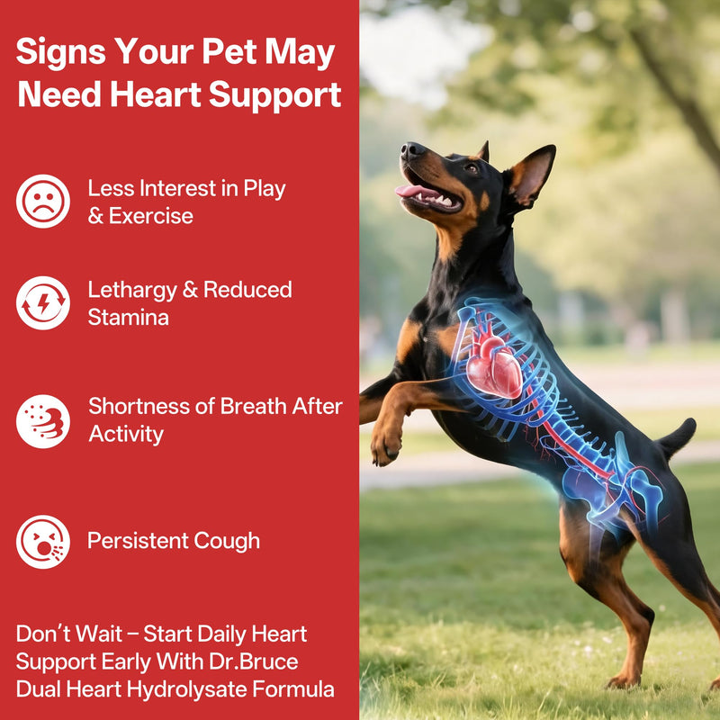 Cardio Bites for Cat & Dog - Cat & Dog Heart Supplement with Taurine,L-lysine,L-Carnitine, & CoQ10 - Promotes Normal Circulation and Heartbeat，Dog Heart Health Supplement- 140 Soft Chews