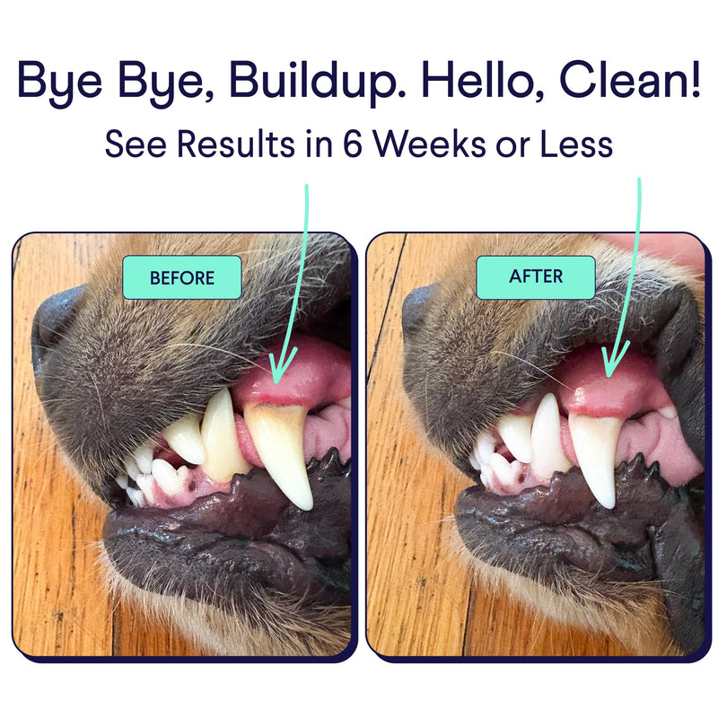 Finn Dental Powder for Dogs | Targets Plaque, Tartar & Bad Breath