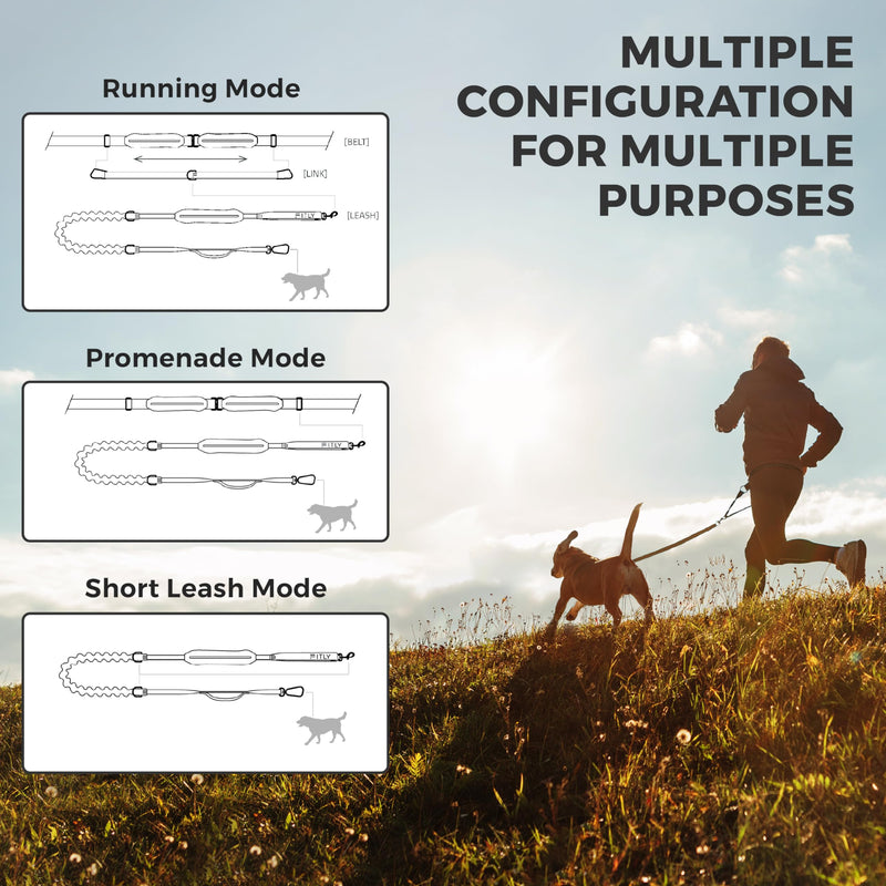Dog Running Waist Belt - Running Dog Lead - Canicross Harness Carry Personal Items Running, Walks, Hikes - Waist Leads for Dogs with Belt Pouch, Converts into Canicrossing Line - Nifty Black - BeesActive Australia