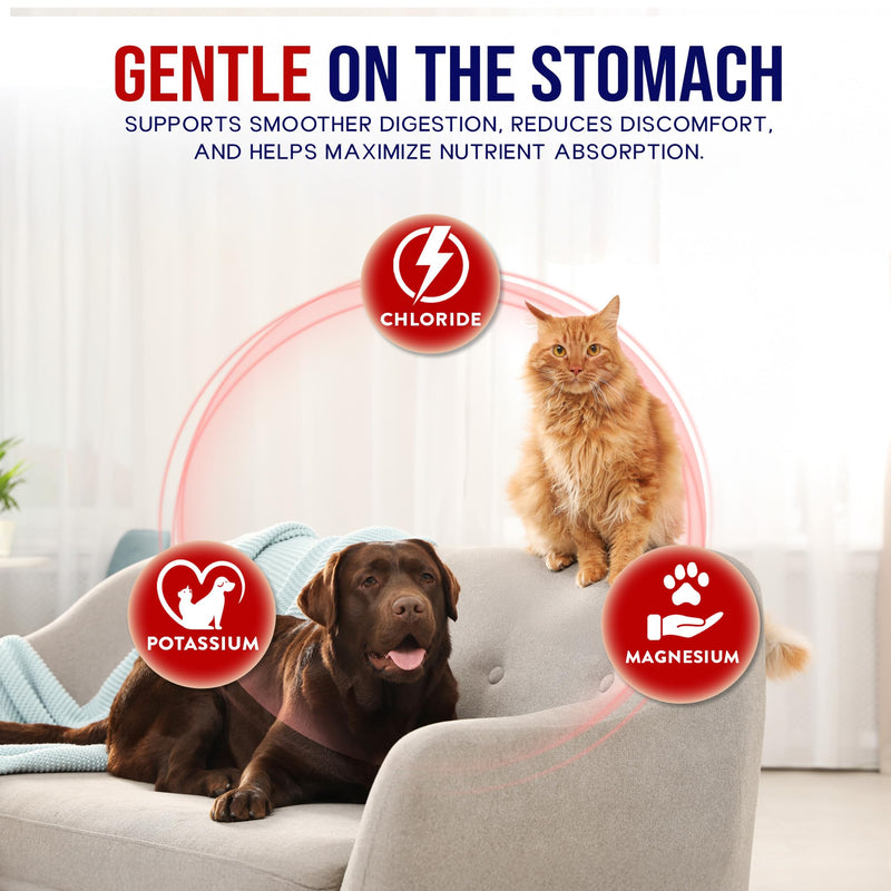 Pancreatic Digestive Enzymes for Dogs and Cats - Pre and Probiotics for Dogs - nzymes for Dogs and Cat - Suitable for Digestion, Diarrhea Issues - Made in USA by PCS (Powder, 75 Servings) Digestive Enzymes Powder