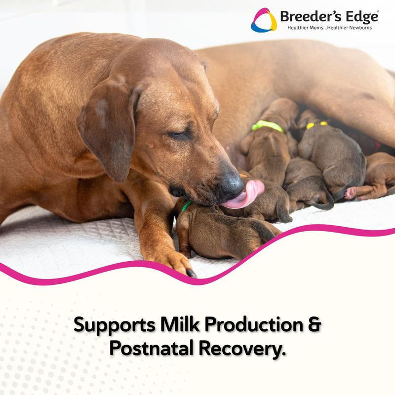 Breeder's Edge Oral Cal Plus Powder for Dogs & Cats, Lactation Support 300g | Calcium, Magnesium, Vitamin D3 & Goat Milk Support Lactation, Bone, Teeth & Muscle Health for Nursing Dogs & Cats Postnatal 300 g - Powder