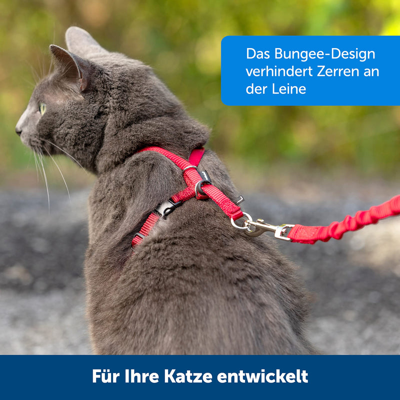 PetSafe Easy Walk Cat Harness, With Elastic Bungee Leash, For Walking Your Cat, Size M, Blue, CWMK-M-RYL-19 - BeesActive Australia