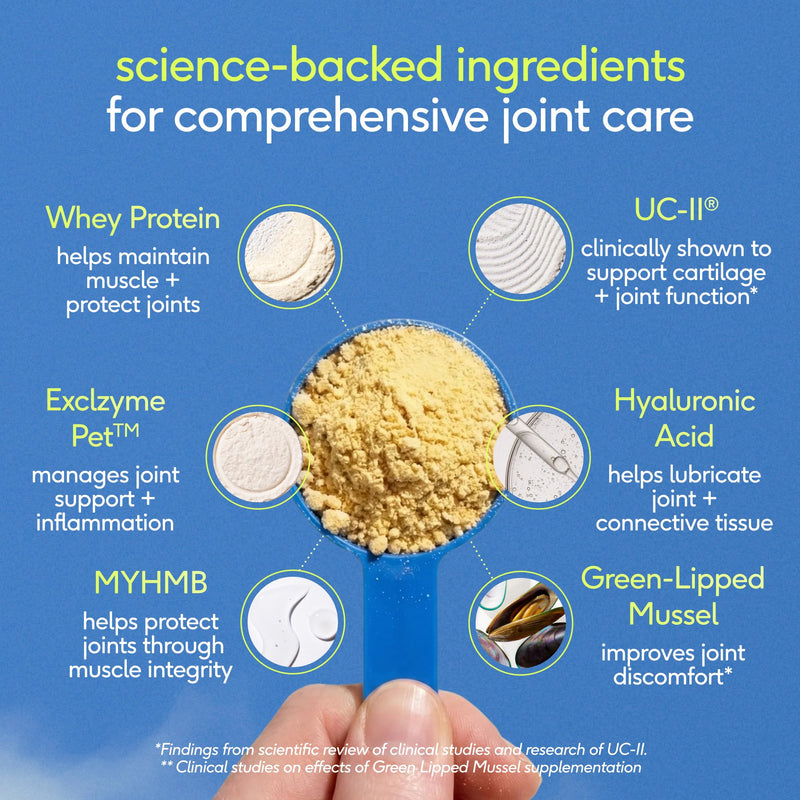 Native Pet Hip & Joint Advanced Care Dog Joint Supplement Powder for Mobility & Movement Support, Joint Supplement for Dogs with HMB, UC-II Collagen, Green Lipped Mussel & Hyaluronic Acid – 30 Scoops 30 Servings
