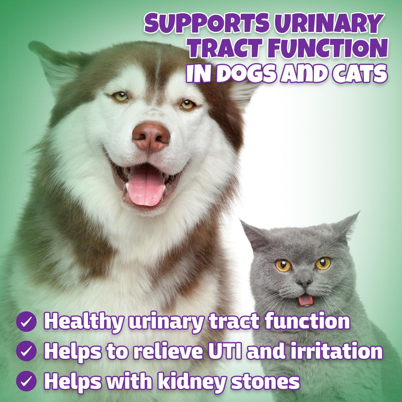 Natural Dog & Cat UTI Treatment with Cranberry & D-Mannose, Bladder, Kidney, Incontinence Support, Healthy Urinary Tract for Dogs, Best Cat Urinary Tract Infection Treatment, Easy-to-Use Drops, 2 oz 2 FL OZ