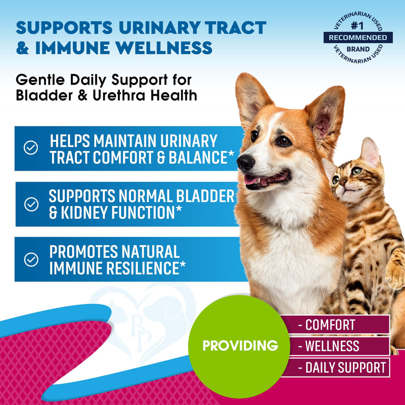 Cat & Dog Urinary Tract Infection Treatment & Natural UTI Medicine Cranberry & D-Mannose -Kidney+Bladder Support - Best Incontinence, Bladder Stones - Pet Renal Health & Care Drops 1 Pack (60 ml)