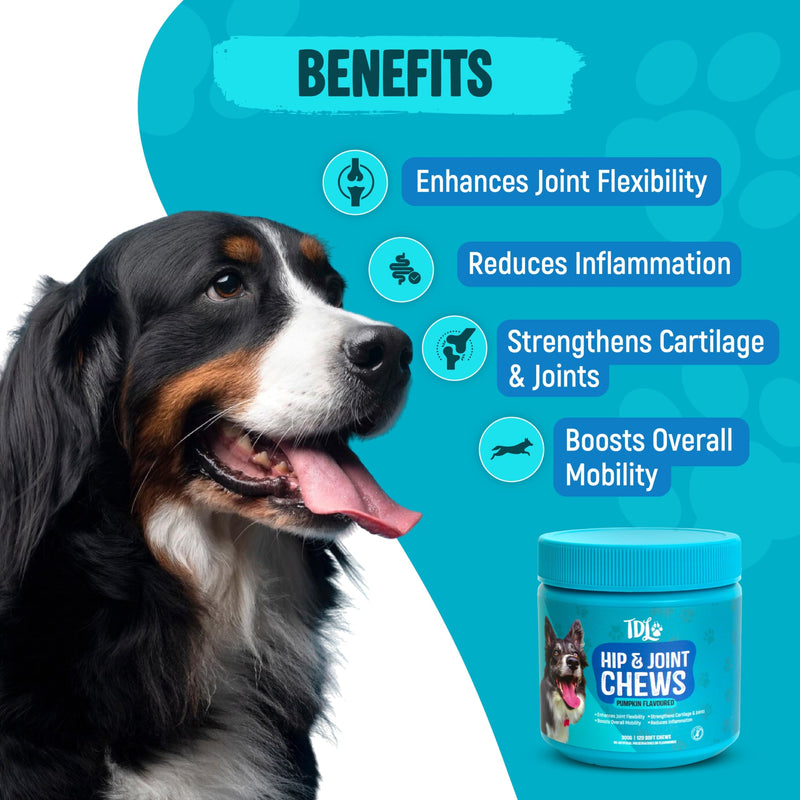 Hip & Joint Care for Dogs – 120 Pumpkin Flavour Soft Chews – Joint Support Max Formula with Natural Anti-Inflammatory Ingredients for Mobility & Joint Pain Relief