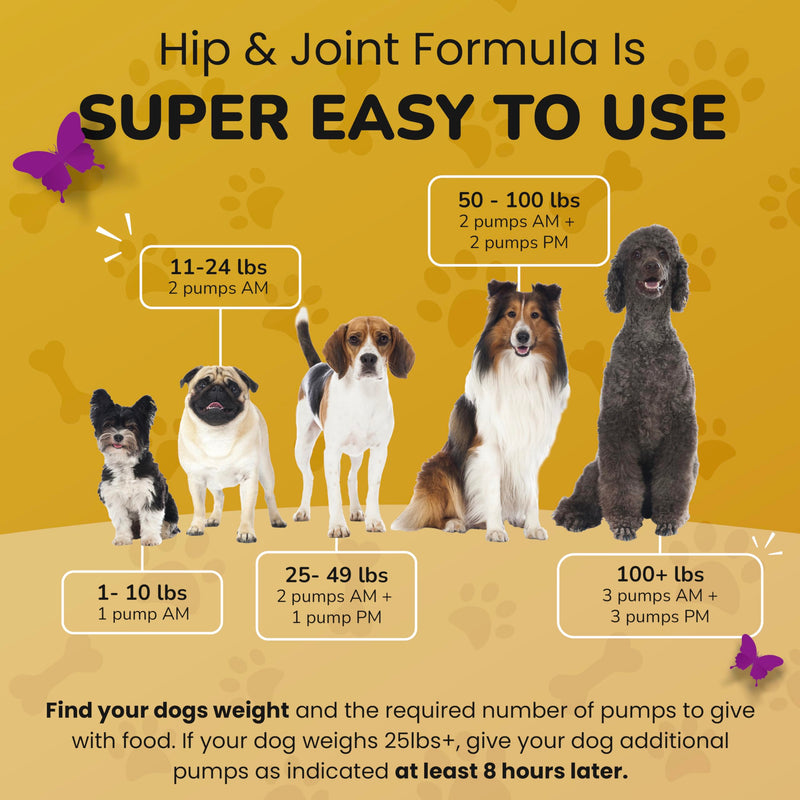 Dog Hip and Joint Supplement - Junior and Senior Dog Supplements for Mobility, Flexibility Support and Bone Strength, Deluxe Glucosamine Chondroitin for Dogs, 16 oz - PawsPlanet Australia