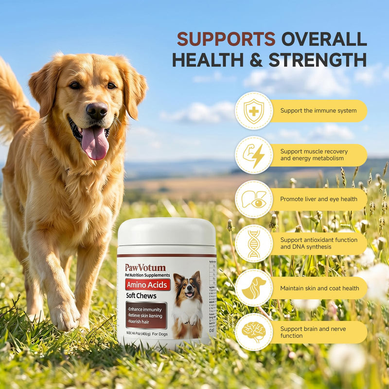 Amino Acids for Dogs,Dog Vitamins and Supplements, Support Immunity, Digestion, Skin & Coat, Muscle Health, Contains Lysine, DL-Methionine and Taurine
