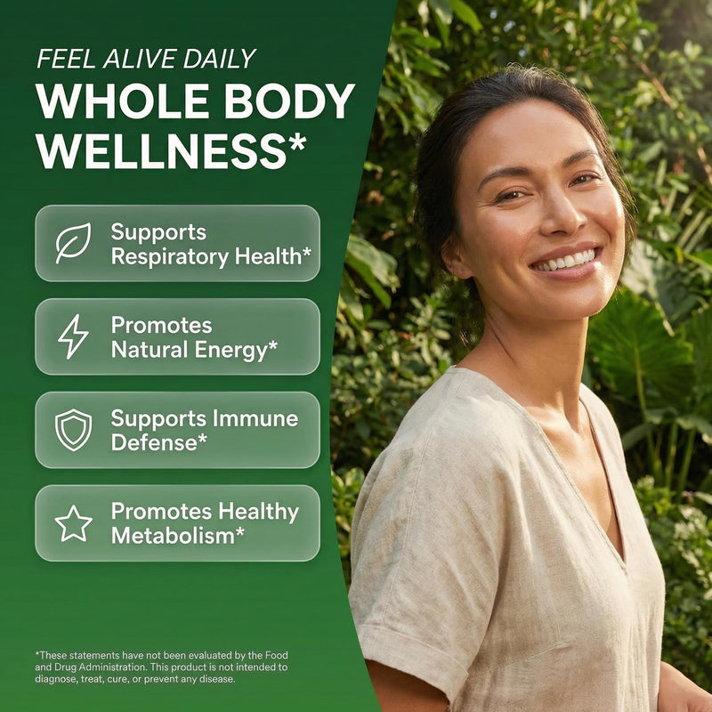 Clean Nutra Moringa Supplement Drops Ashwagandha Spirulina Chlorella Turmeric & Ginger Liquid Barley Grass with Chlorophyll Blue Green Algae Vitamin C Antioxidant Holy Basil Ceylon Cinnamon PlantFlow