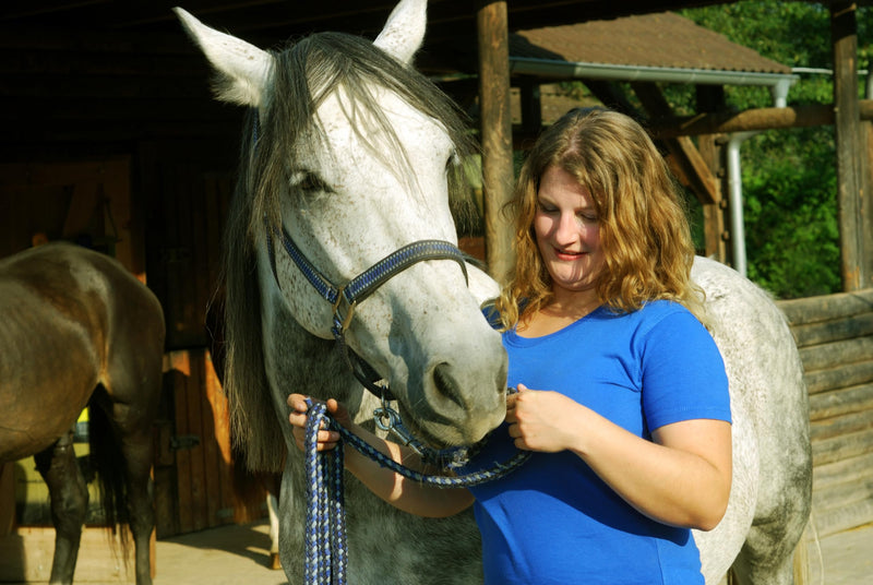 Cush-Ease + A Comprehensive High Potency Nutrition Supplement for Horses - Now With Biotin and Milk Thistle for Hoof Health