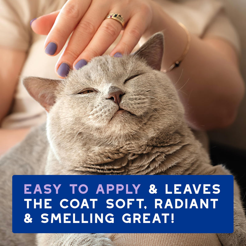 Douxo Spa Low-Stress Refresh Leave-on Mousse for Cats, 150 ml, Safely Cleans and Refreshes the Fur, Leaves the Coat Soft, Radiant and Smelling Great, pH Balanced, Hypoallergenic, Skin-Friendly Formula