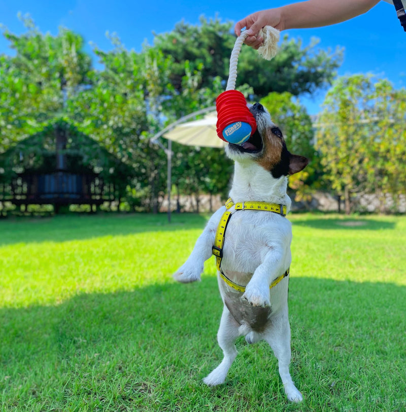Made in USA Flingsy Dog Ball Launcher and Rope Tug Fetch Thrower Combination Throwing Toy with 100-Percent Natural Cotton Rope Red Flingsy Launcher Rope Toy with 1 Ball - BeesActive Australia