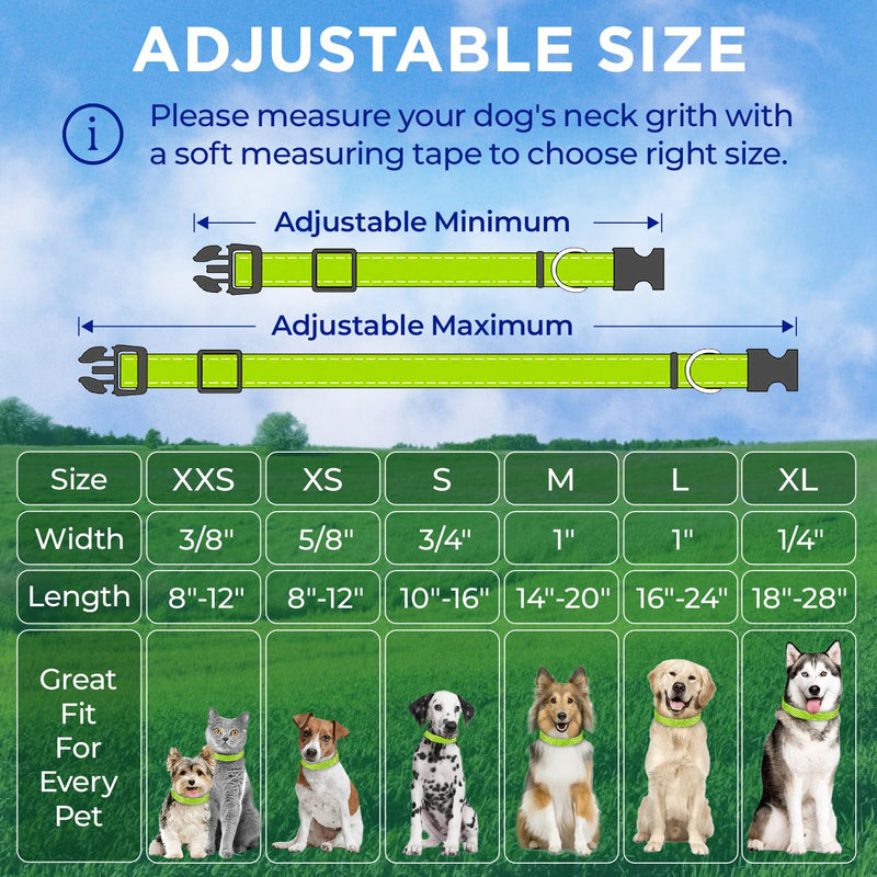 TECEUM Reflective Pet Collar – Acid Green – S – Extra Soft Padding – Basic Nylon Dog Collar – Quick Release Buckle – Fits Small, Medium and Large Dogs, Puppies, Cats – ESA & Service Dog Options - BeesActive Australia