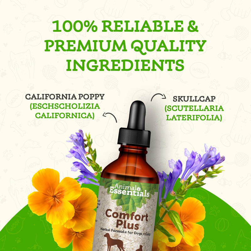 Animal Essentials Comfort Plus for Dogs & Cats - Calming Liquid, Pet Calming Drops, Herbal Formula, California Poppy, Skullcap - 2 Fl Oz - PawsPlanet Australia