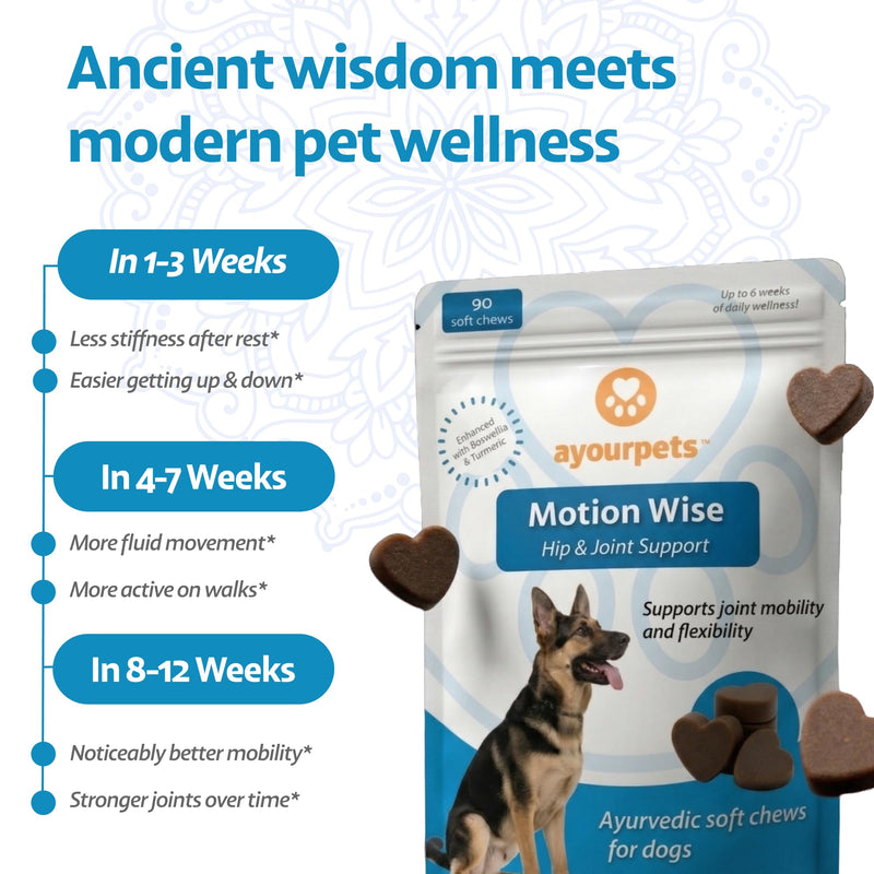 Hip and Joint Supplement for Dogs with Stiff Joints & Mobility – Natural Boswellia, Ashwagandha & Turmeric Ayurvedic Herbal Support – Pork Flavor – 90 Count