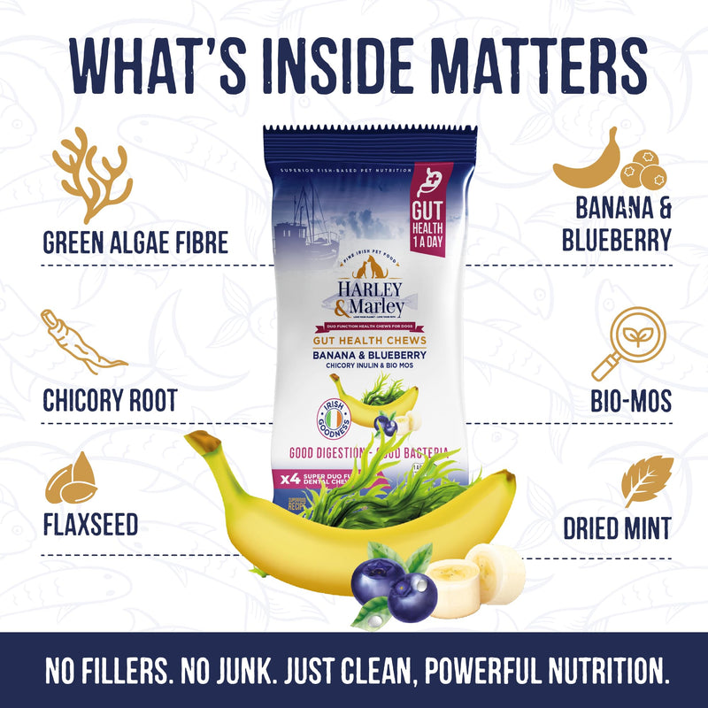 Harley & Marley Gut Duo Function Health Chews for Dogs - Dog Digestive Supplements with Fibre, Prebiotics & Biotics - Banana & Blueberry Recipe - Supports Teeth & Gums - 1pk (4/pk) Pack of 1