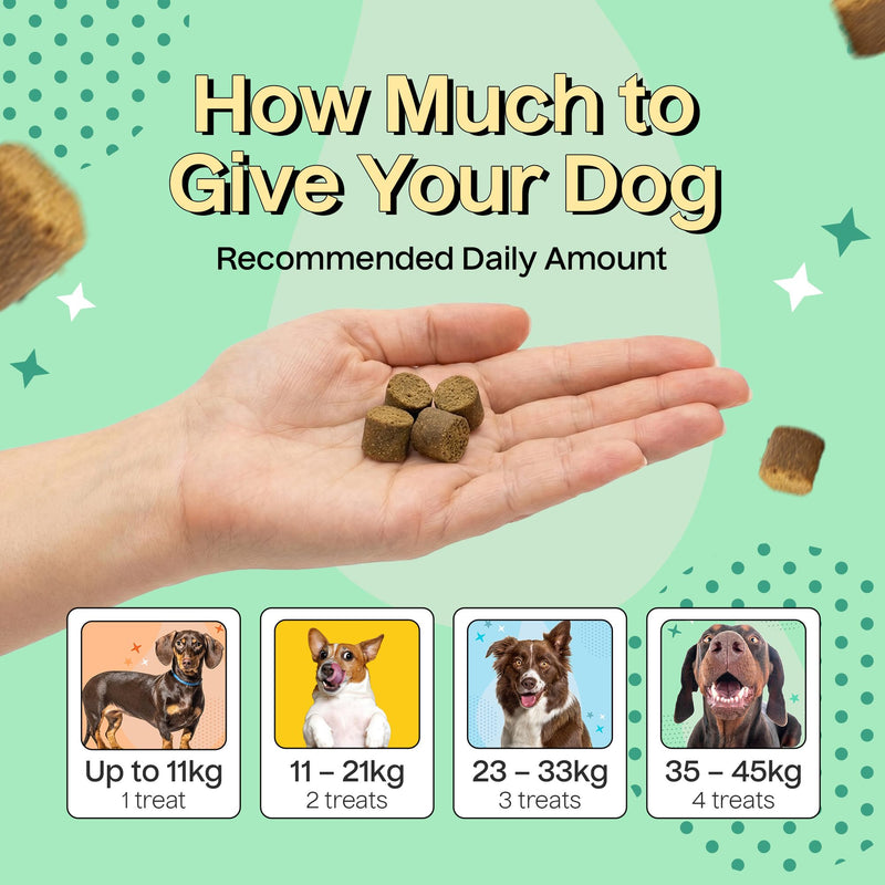 Drool Pet Products | Calming Dog Treats for Anxiety Relief | Natural Beef-Flavoured Dog Calming Supplement for Stress, Fireworks, Travel & Separation | Anxiety Relief for Dogs | 180g (60 Tablets)