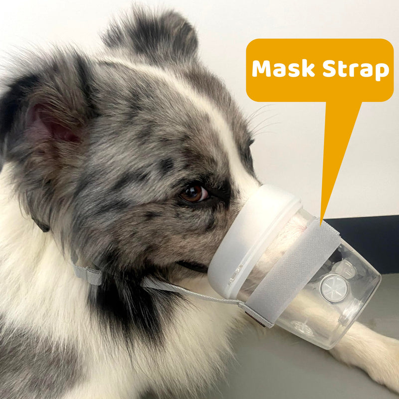 Pet Low Noise Nebulizer for Cats and Dogs (Medium - Dogs) Medium - Dogs - PawsPlanet Australia
