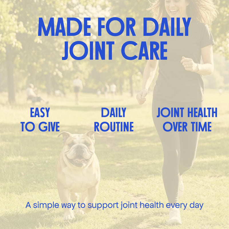 Joint Supplement for Dogs - With Glucosamine, Chondroitin, MSM, Turmeric, Ginger, Boswellia for Dogs with Stiff Joints, Arthritis - Supports Collagen Production - Natural Joint Care for All Dog Sizes