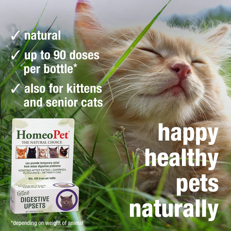 HomeoPet Feline Digestive Upsets, Natural Cat Digestive Support, Digestive Supplement for Cats, 15 Milliliters - BeesActive Australia