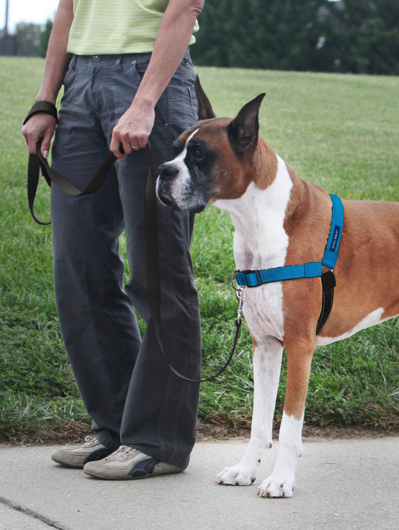 PetSafe Easy Walk Deluxe Dog Harness, No Pull Dog Harness – Perfect for Leash & Harness Training – Stops Pets from Pulling and Choking on Walks – Large, Ocean Large (Pack of 1) - BeesActive Australia