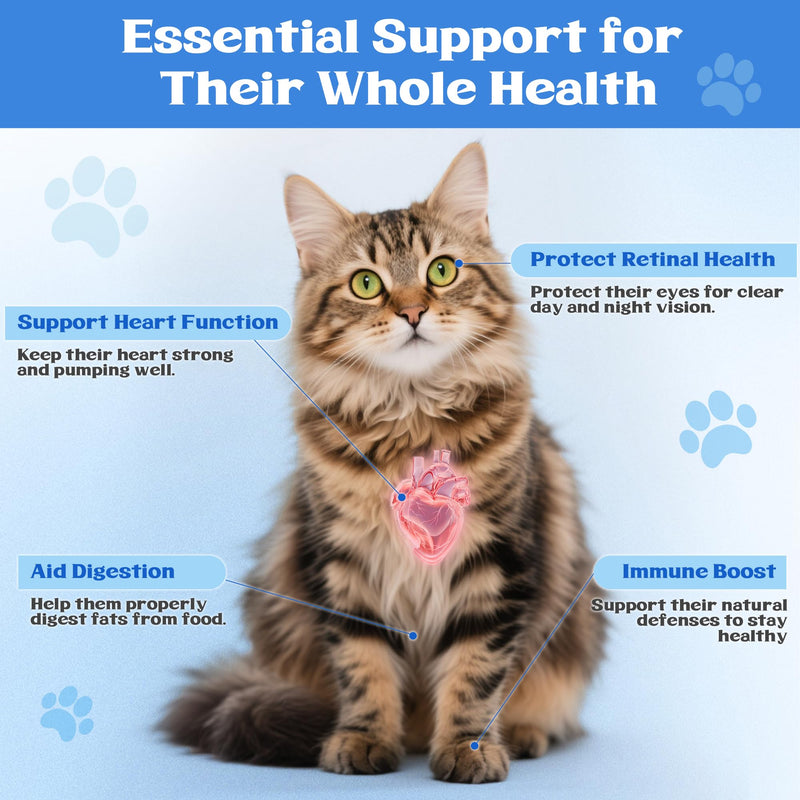 Taurine Powder for Cats - Supports Heart & Vision Health, Immune Support, Boosts Energy & Vitality, Skin & Coat Wellness, 99.9% Pure, Water-Soluble with Dosing Spoon, 200g