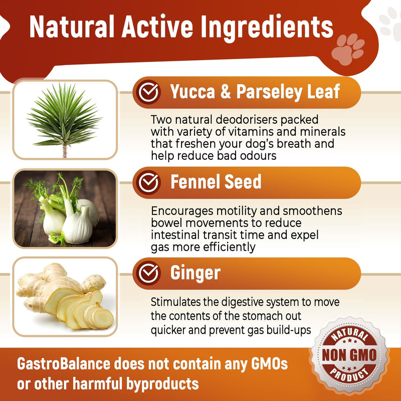 flatulence relief for dogs natural remedy to cure dog wind farts (Bacon flavour) Bacon flavour