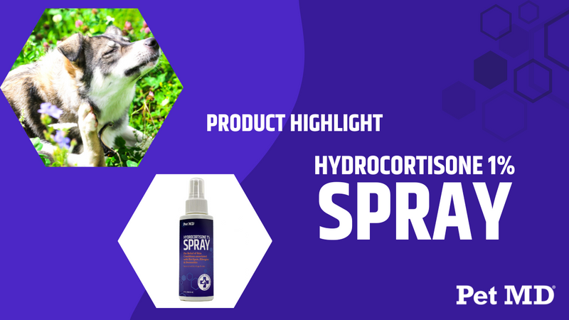 Pet MD Hydrocortisone Spray for Dogs, Cats, Horses - 4 oz