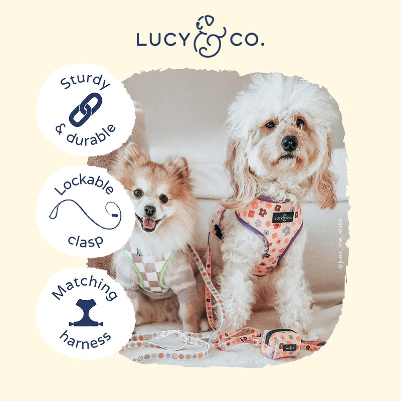 Lucy & Co. Designer Dog Leash - Pet Accessories - Thick Dog Leash - Padded Handle for Comfort - Purple with Green Floral - 5 Foot (Purple Coral Floral, Large) Let's Groove - BeesActive Australia