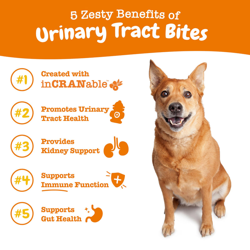 Zesty Paws Cranberry Supplement for Dogs - Bladder Control for Dogs - Urinary Supplement for Dogs - Cranberry Chews with D-Mannose, Vitamin B6 & L-Arginine - Immune & Gut Support - Chicken - 90 Count 90 Count (Pack of 1) - BeesActive Australia