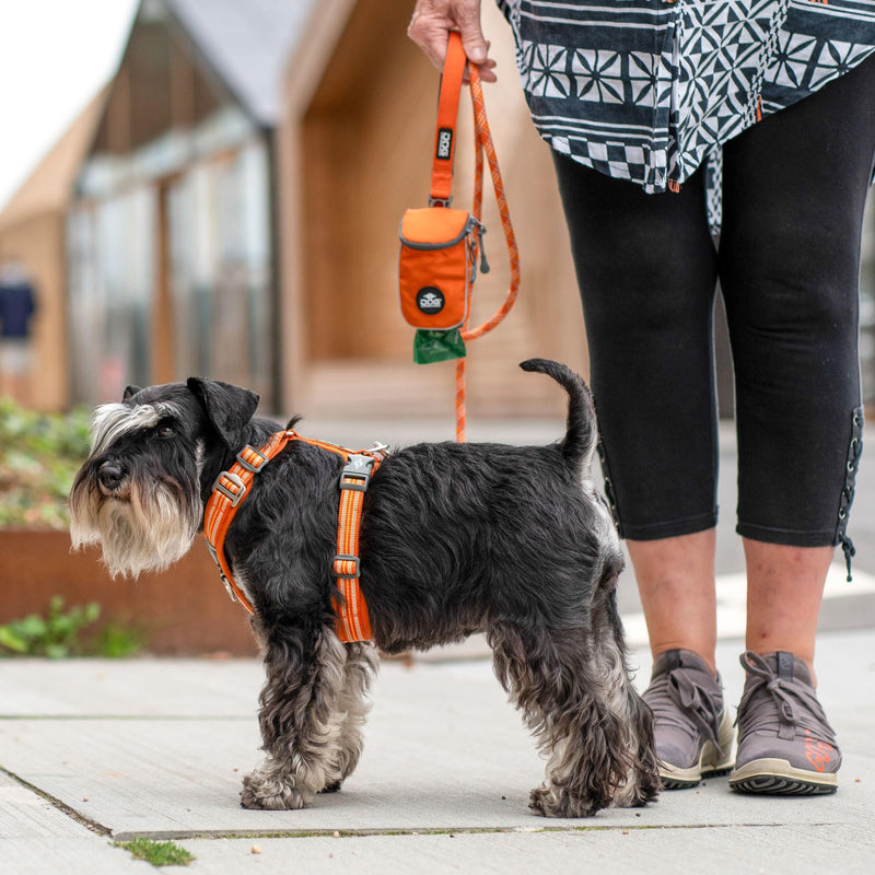 DOG Copenhagen Comfort Walk Air 3.0 Dog Harness - Harness for Dogs - Puppy Harness, Black, M - BeesActive Australia