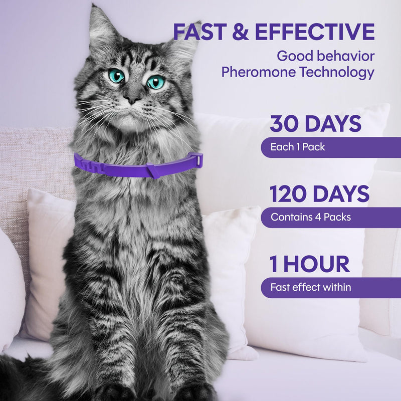 Pheromone Calming Collar for Cats 4 Pack – Breakaway Cat Calming Collar for Anxiety, Separation Stress, Spraying and Meowing, Adjustable Waterproof Natural Collar for Indoor Cats