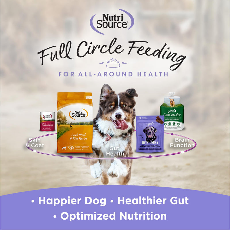 NutriSource AmpliFull Turkey Flavor Calming Dog Soft Chews, Daily Anxiety & Stress Relief Supplement for Dogs, High Absorption for Relaxation, 70 Chews (1 Pack) - PawsPlanet Australia