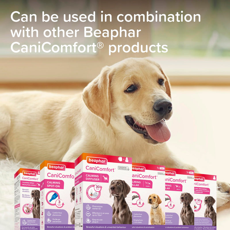 Beaphar - CaniComfort® Calming Collar For Puppies – Reduces Stress & Anxiety – Pheromone Calming for Puppies – Long-Lasting Up To 4 Weeks – Ideal for Anxious Dogs & Long-Term Stress – 1 x 45cm Collar