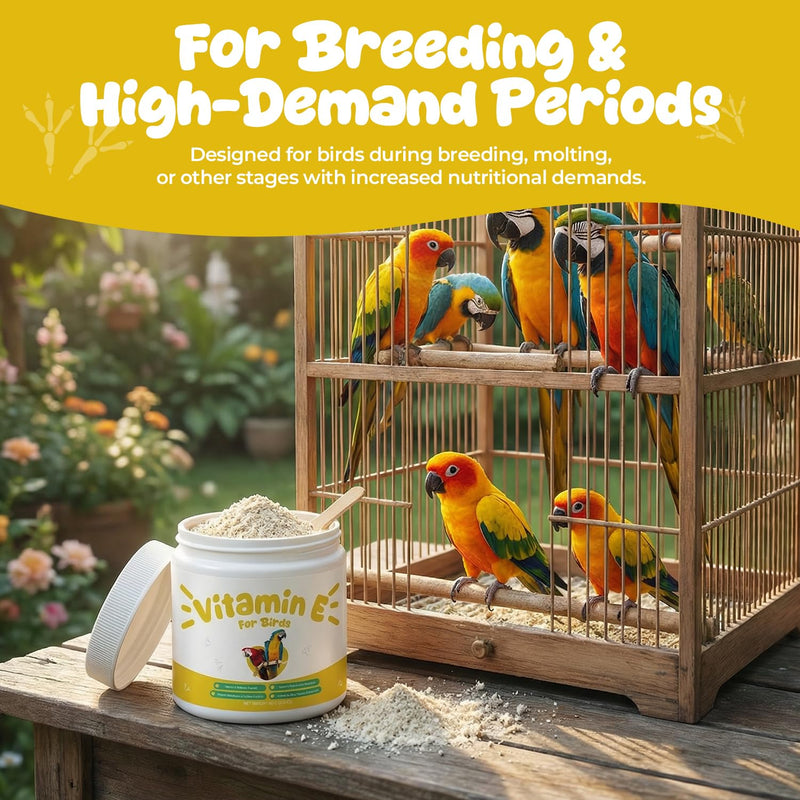 Vitamin E Supplement for Birds – Powder Vitamin E Supports Feather Condition & Cellular Function, Daily Nutrition Support