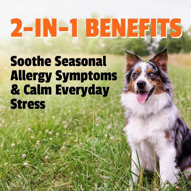 Pet Naturals Allergy Plus Calming Supplement for Dogs, Soft Chew, Duck Flavor, 60 Ct. - PawsPlanet Australia