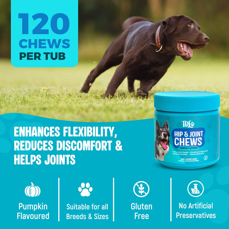 Hip & Joint Care for Dogs – 120 Pumpkin Flavour Soft Chews – Joint Support Max Formula with Natural Anti-Inflammatory Ingredients for Mobility & Joint Pain Relief