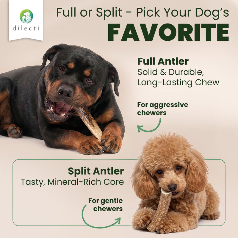Premium Natural Deer Antlers For Dogs - Rich in Proteins & Minerals - Durable, Long Lasting Dog Chew for Dental Care, Teething, and Boredom - Spilt S (28-50g), pack of 3 S (pack of 3) - Spilt / Half