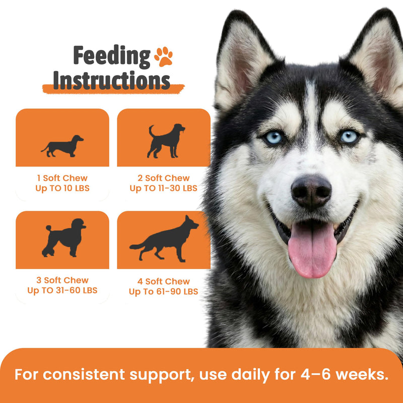 Probiotic Soft Chews for Dogs – Digestive Support with 6 Probiotic Strains, Pumpkin & Digestive Enzymes – Supports Gut Health, Regular Stools & Less Gas – Chicken Flavor – 120 Chews – Made in USA