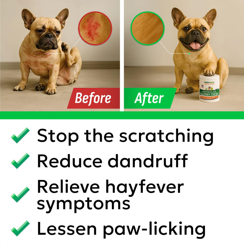 BARK&SPARK Dog Itch & Allergy Support Chews - Skin & Coat Supplement - Omega 3 Fish Oil -Itching & Paw Licking - Dry Skin & Hot Spots - 180ct - Grilled Pork 180 Soft Chews