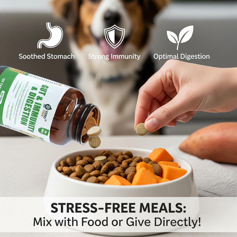 Probiotics for Dogs – Dog Probiotics for Gut Health & Digestive Support, Prebiotics, Digestive Enzymes & 3 Billion CFU Probiotic Blend, Immune Support Supplement for Dogs, 120 Tablets