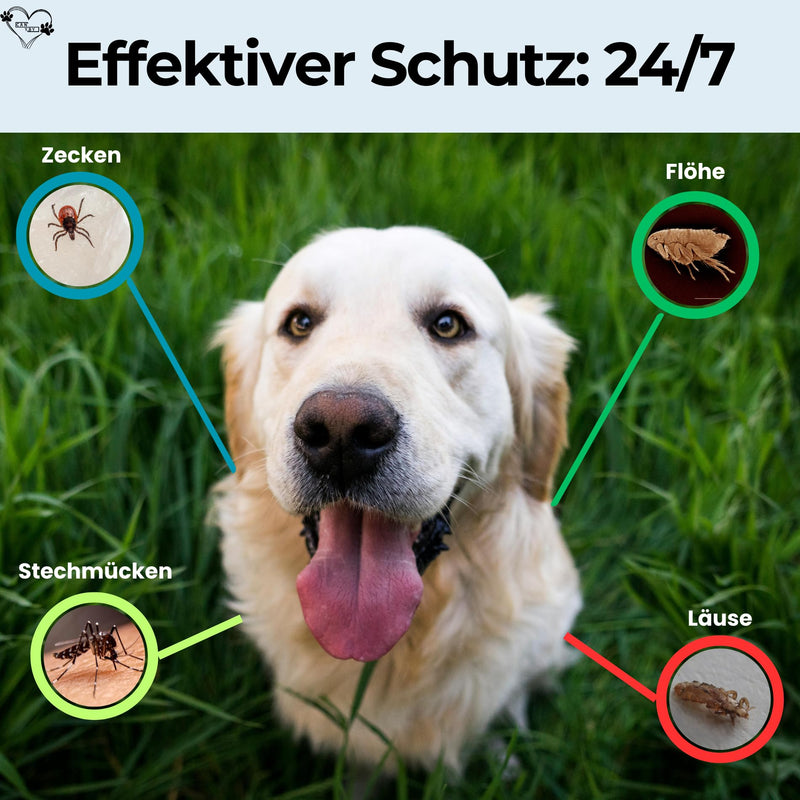 CANYBY Tick Collar for Dogs - Natural Tick & Flea Protection, Waterproof & Effective Protection for up to 8 Months with 100% Natural Ingredients (Orange, 62cm) Orange - BeesActive Australia