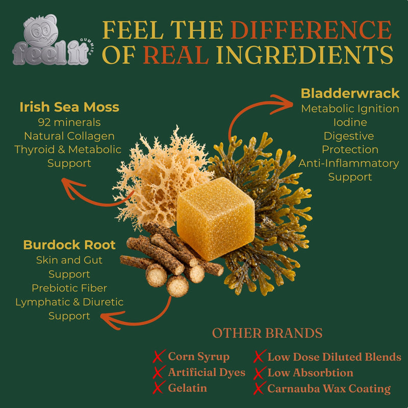 High Potency Irish Sea Moss Gummies – 1750mg Raw Wildcrafted Irish Sea Moss with Bladderwrack & Burdock Root – Thyroid, Immune, Detox & Energy – Manufacturer Direct - Made in USA - 60 Gummies