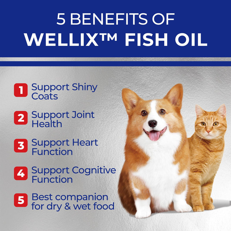 Omega 3 Fish Oil for Dogs, Better Than Salmon Oil for Dogs, Dog Fish Oil Supplement, Pet Skin and Coat Supplement, Promotes Heart, Joint & Immune Health, EPA & DHA 8.5 FLOZ - BeesActive Australia