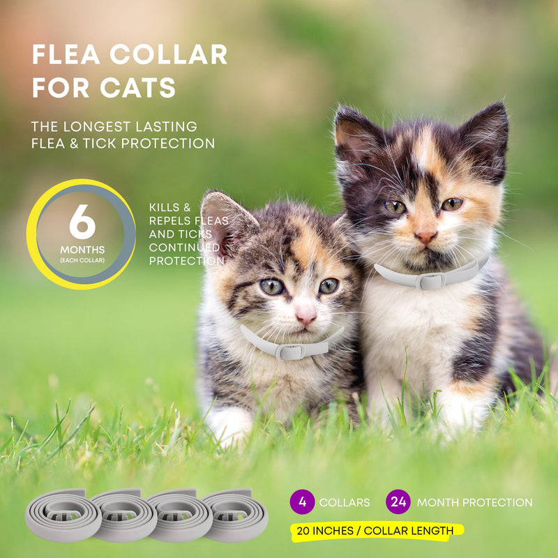 Cat Flea Tick Prevention Collar: Nature Flea Collar for Cats Fleas Repellent Collars - Safe Tick Prevention Collars for Cats Ticks Control for Kitten - 4 Pack 24 Month Protection Gray - BeesActive Australia