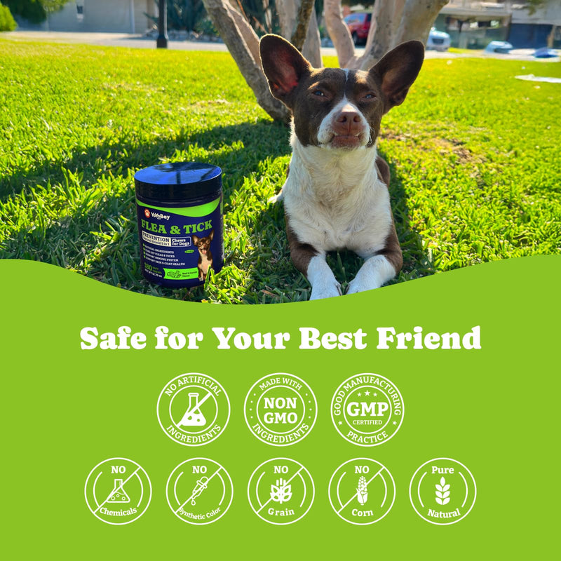 Flea & Tick Prevention for Dogs Chewables, Natural Dog Flea and Tick Control Treatment, Oral Flea Pills, Dogs Supplement, Natural Shield 5-in-1 Protection, Beef & Carrot Flavor, 180 Soft Chews Beef & Carrot-180-Blue